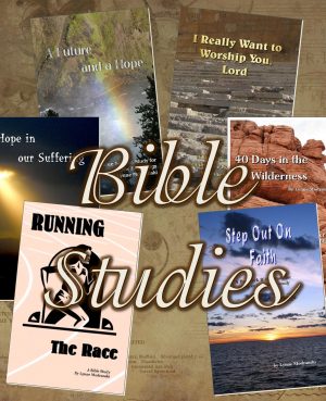 Bible Discussion Guides