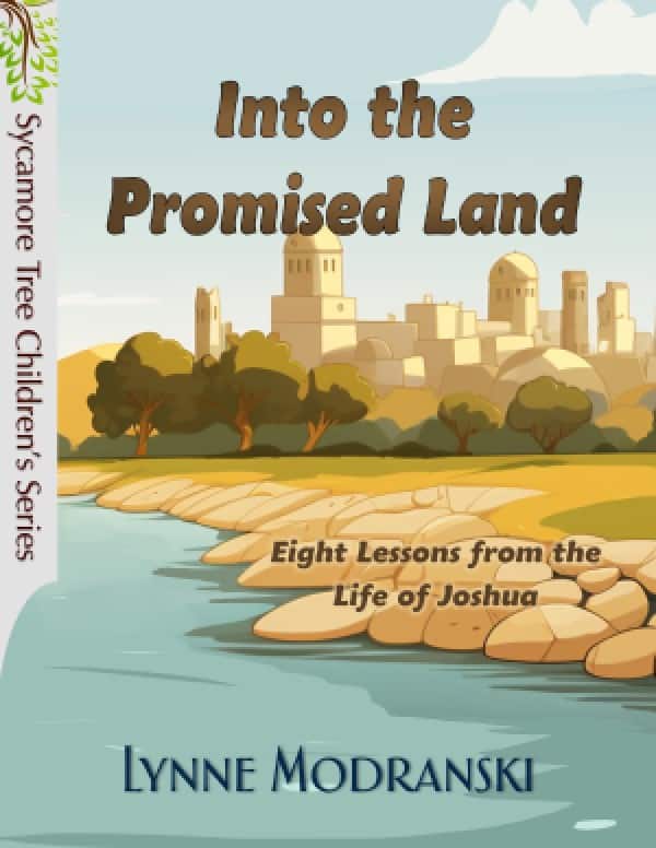 Into the promised land cover