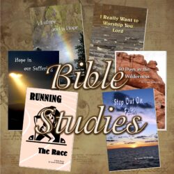 Bible Discussion Guides