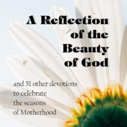 A Reflection of the Beauty of God