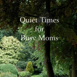 Quiet Times for Busy Moms