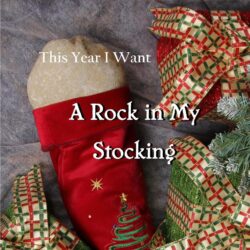 This Year I Want the Rock in my Stocking