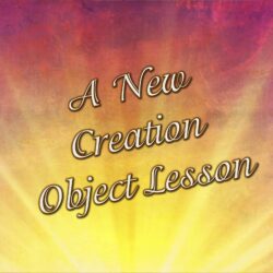 A New Creation