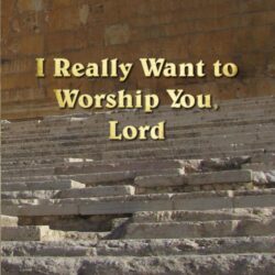 I Really Want to Worship You, Lord