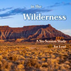 Forty Days in the Wilderness