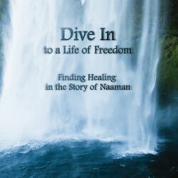 Dive In! – Paperback Book