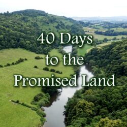 40 Days to the Promised Land