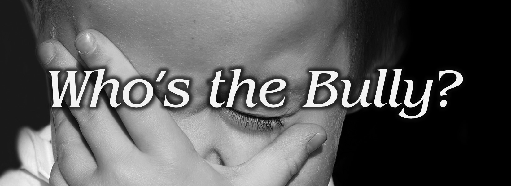 Read more about the article Bullying, What’s A Christian Mother to Do