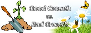 Read more about the article OR Maybe it’s Growing Like a Bad Weed