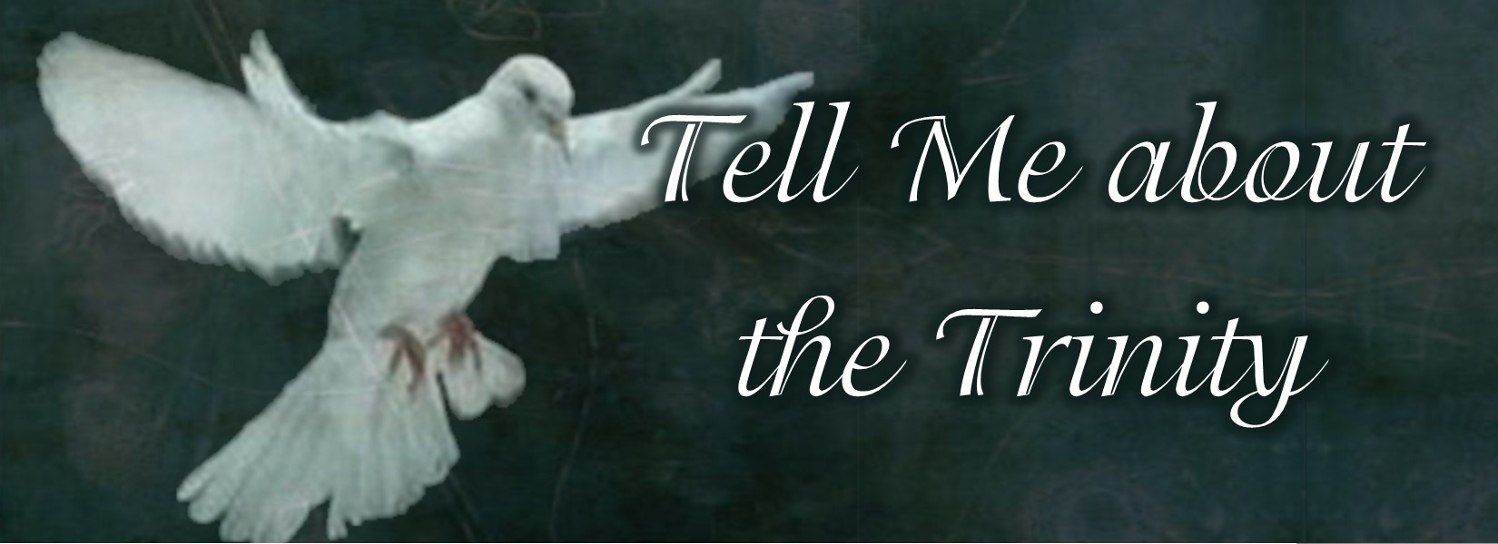Trinity Discussion Guide