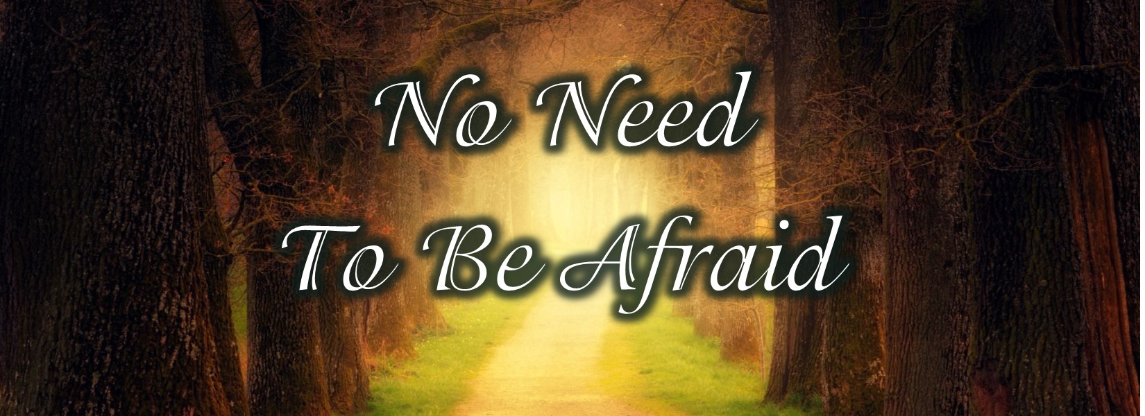 Don't be afraid