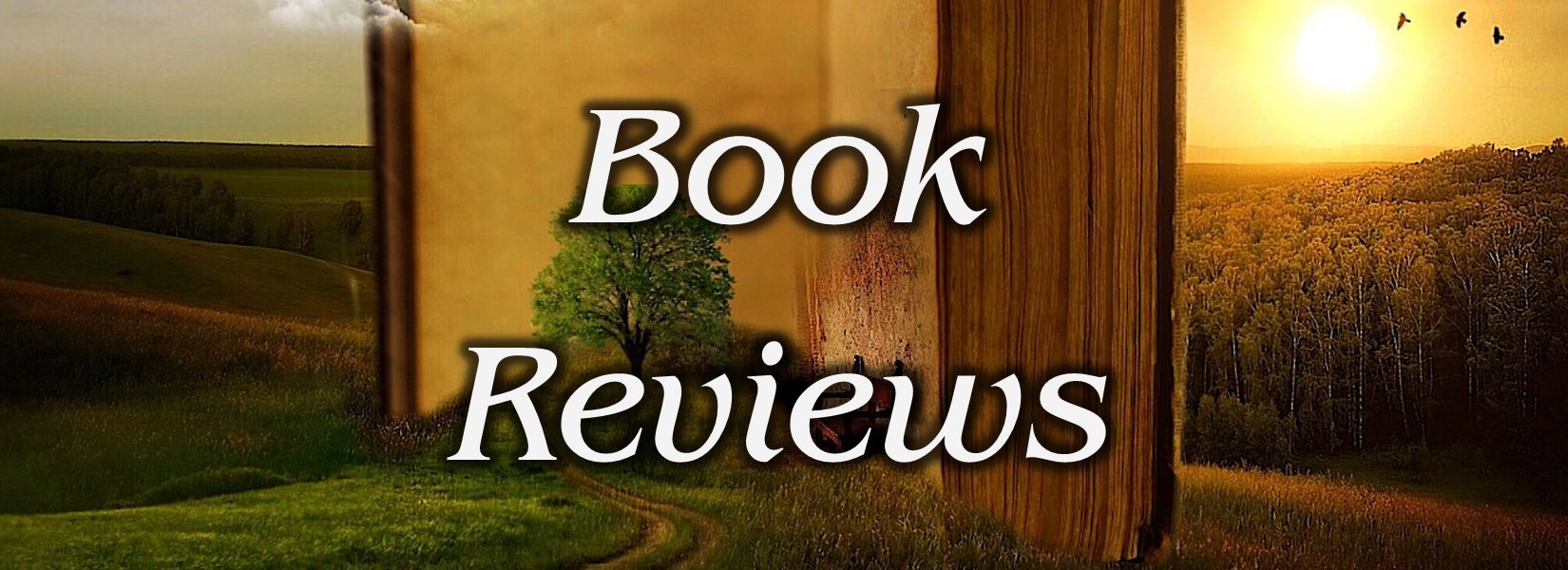 Read more about the article BOOK REVIEW – Consuming Fire