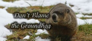 Read more about the article Don’t Blame the Groundhog