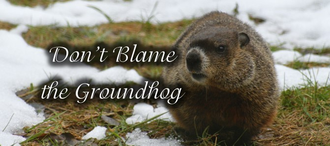 Read more about the article Don’t Blame the Groundhog