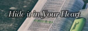 Read more about the article The Blessings of the Word of God