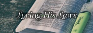 Read more about the article What Priority Do You Give the Word of God?