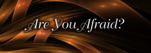 Read more about the article Fear and Delight