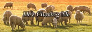 Read more about the article In Hot Pursuit