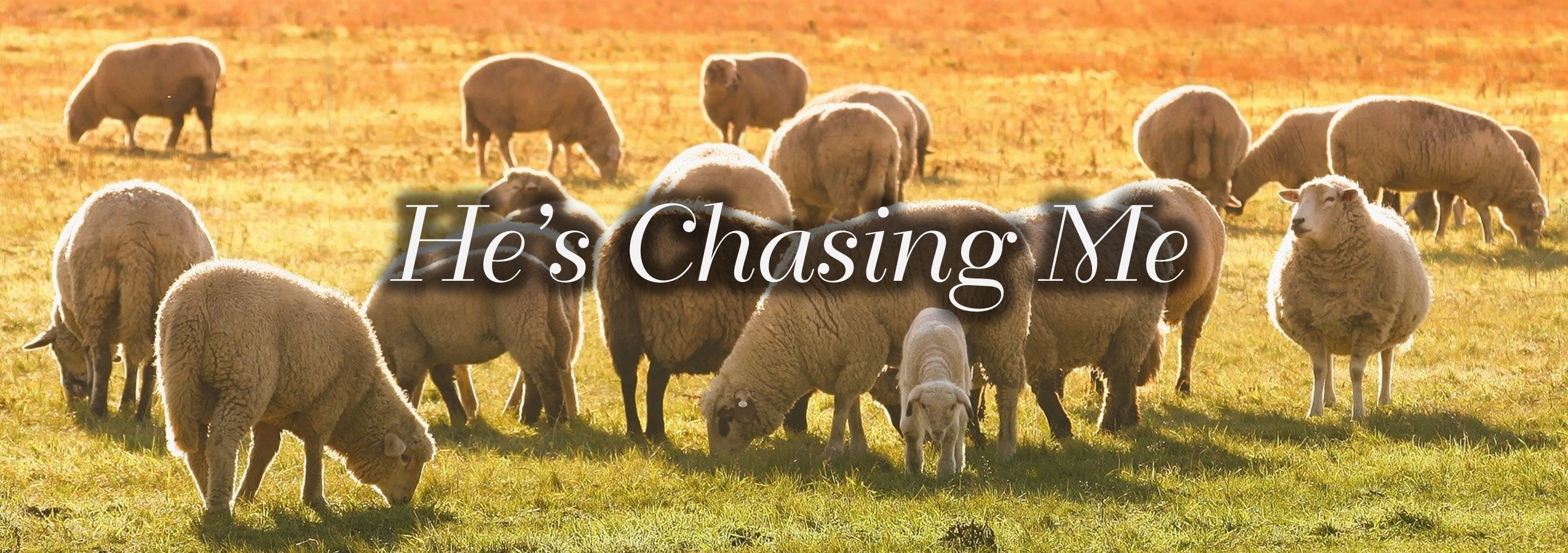 Read more about the article In Hot Pursuit