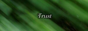 Read more about the article How Deep Is Your Trust?