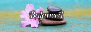 Read more about the article Keeping it Balanced