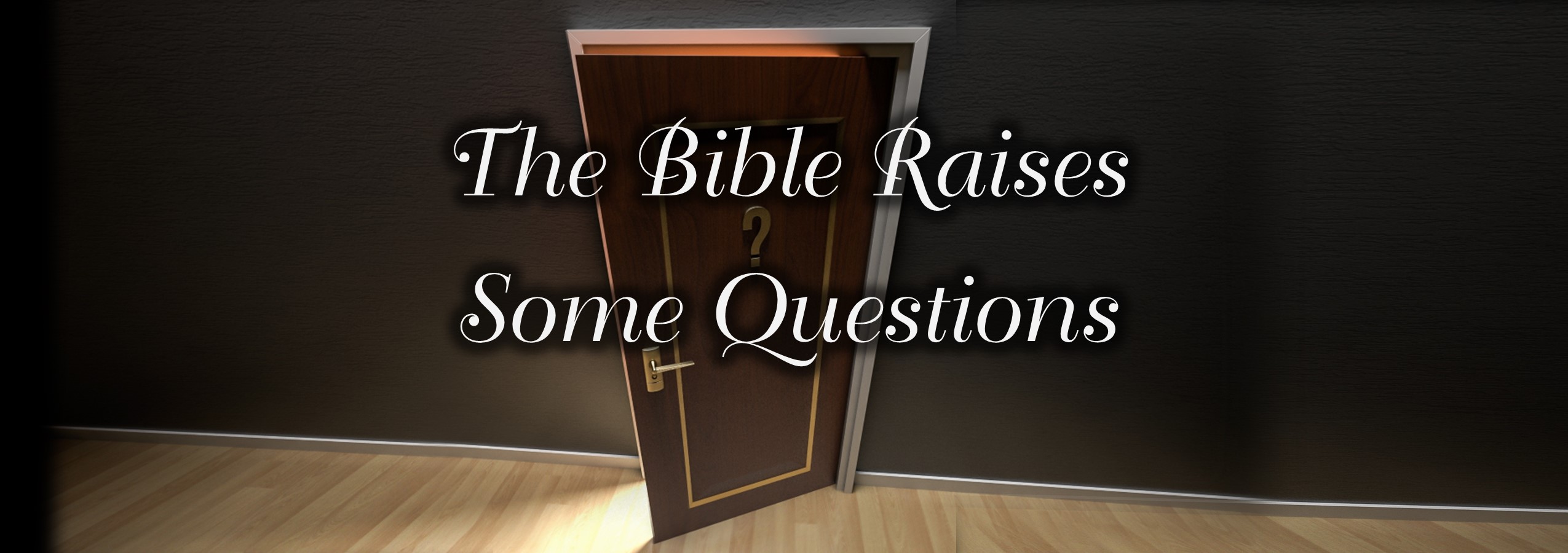 Read more about the article I Have Questions