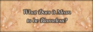 Blameless bible discussion guide and study