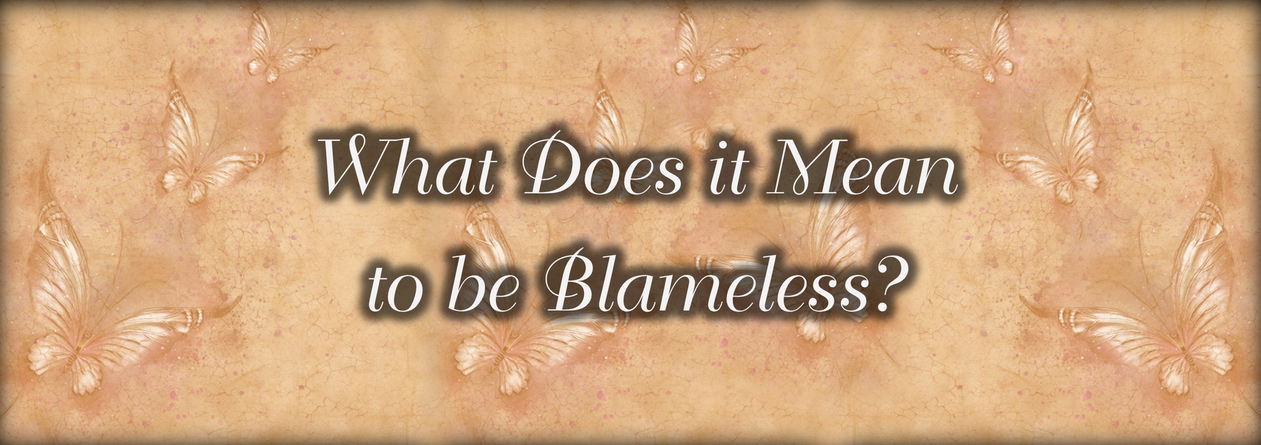 Blameless bible discussion guide and study