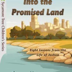 Into the Promised Land