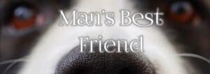 Man's Best Friend