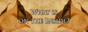 Read more about the article Inner Beauty